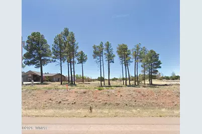 Tbd Highway 260, Overgaard, AZ 85933 - Photo 1
