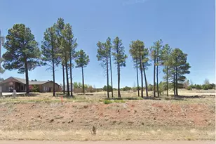 Tbd Hwy 260, Overgaard, AZ 85933 - Photo 1