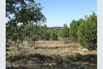 Lot C Lamb Drive, Pinedale, AZ 85934 - Photo 7