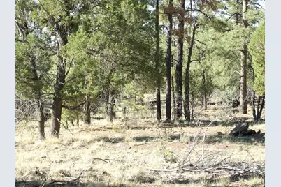 Lot C Lamb Drive, Pinedale, AZ 85934 - Photo 11