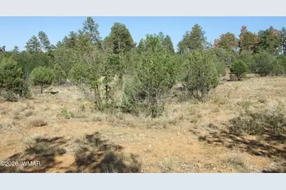 Lot C Lamb Drive, Pinedale, AZ 85934 - Photo 3