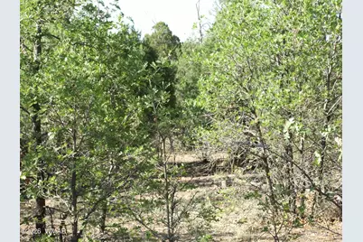 Lot C Lamb Drive, Pinedale, AZ 85934 - Photo 1
