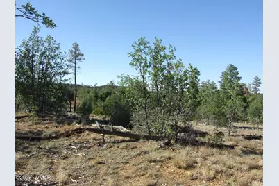 Lot C Lamb Drive, Pinedale, AZ 85934 - Photo 5