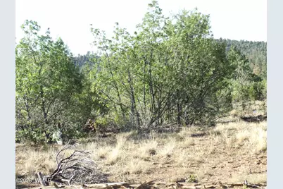 Lot C Lamb Drive, Pinedale, AZ 85934 - Photo 9