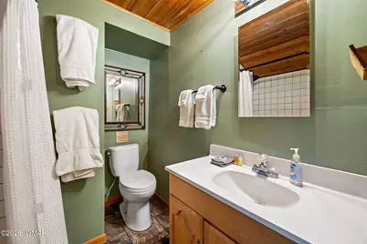140 Main Street, Unit 7 #7, Greer, AZ 85927 - Photo 65