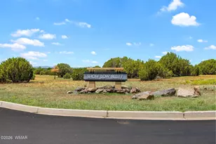 1061 S Lorenzo Sitgreaves Dr, Show Low, AZ 85901 - Photo 29