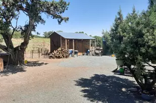 9952 Buffalo Rdg Ln, Show Low, AZ 85901 - Photo 13