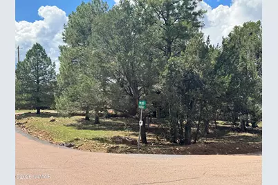 3300 Panorama Drive, Heber, AZ 85928 - Photo 17