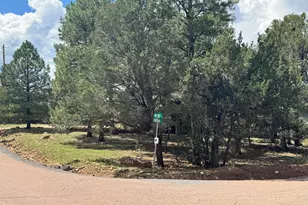3300 Panorama Dr, Heber, AZ 85928 - Photo 17