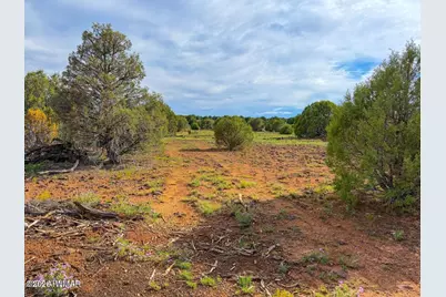 8063 Mustang Ln 10 Acres, Show Low, AZ 85901 - Photo 9