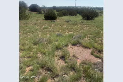 5064 Concho Drive, Unit 385 #385, Concho, AZ 85924 - Photo 3