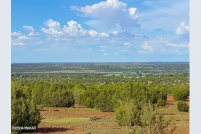 8087 Mustang Ln 20 Acres, Show Low, AZ 85901 - Photo 15