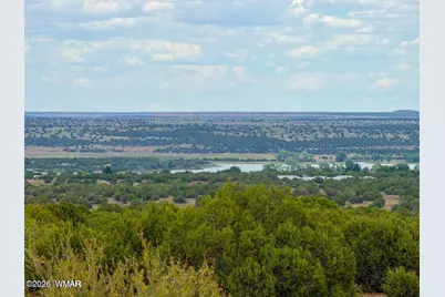 8087 Mustang Ln 20 Acres, Show Low, AZ 85901 - Photo 1