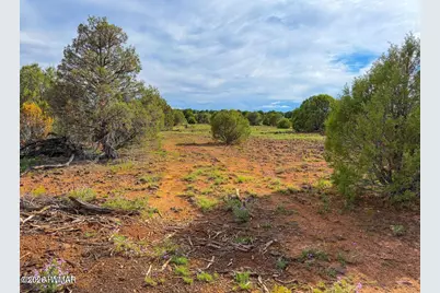8087 Mustang Ln 20 Acres, Show Low, AZ 85901 - Photo 9