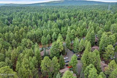 4455 Resort Loop, Pinetop, AZ 85935 - Photo 33