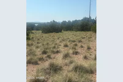 5070 Pina Drive, Unit 25 #25, Concho, AZ 85924 - Photo 3