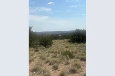 5070 Pina Drive, Unit 25 #25, Concho, AZ 85924 - Photo 1