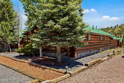 80 1120 Unit 203 (Cabin 251), Greer, AZ 85927 - Photo 3