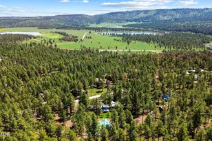 529 County Rd 1122, Greer, AZ 85927 - Photo 55