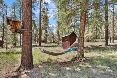 529 County Road 1122, Greer, AZ 85927 - Photo 53