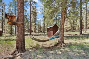 529 County Rd 1122, Greer, AZ 85927 - Photo 53