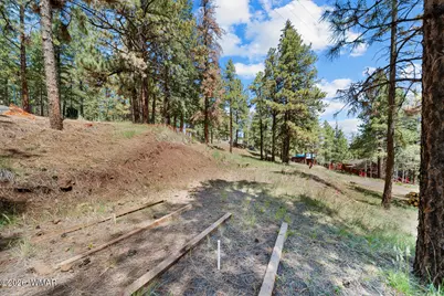 529 County Road 1122, Greer, AZ 85927 - Photo 63