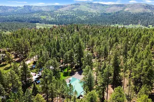 529 County Rd 1122, Greer, AZ 85927 - Photo 23