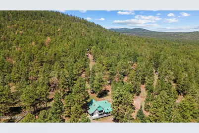 529 County Road 1122, Greer, AZ 85927 - Photo 59