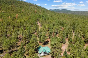 529 County Rd 1122, Greer, AZ 85927 - Photo 59