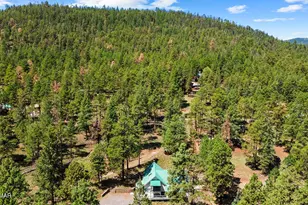 529 County Rd 1122, Greer, AZ 85927 - Photo 7