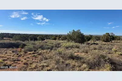 3736 Bum Heel Ranch Road, Heber, AZ 85928 - Photo 7