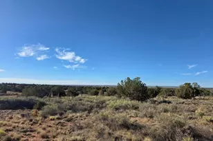 3736 Bum Heel Ranch Rd, Heber, AZ 85928 - Photo 7