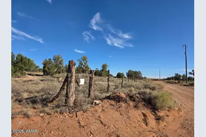 3736 Bum Heel Ranch Road, Heber, AZ 85928 - Photo 5