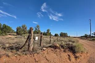 3736 Bum Heel Ranch Rd, Heber, AZ 85928 - Photo 5