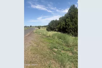 31 Commercial Drive, Concho, AZ 85924 - Photo 3