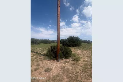 31 Commercial Drive, Concho, AZ 85924 - Photo 5