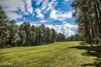 2864 Woodpecker Lane, Pinetop, AZ 85935 - Photo 37