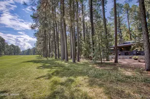 2864 Woodpecker Ln, Pinetop, AZ 85935 - Photo 39