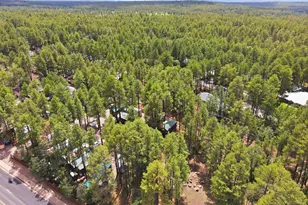 547 E White Mountain Blvd, Pinetop, AZ 85935 - Photo 27