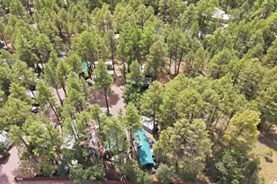 547 E White Mountain Blvd, Pinetop, AZ 85935 - Photo 29