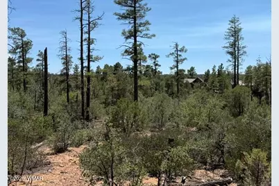 3352 Pine Needle Drive, Show Low, AZ 85901 - Photo 3