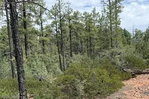 3352 Pine Needle Dr, Show Low, AZ 85901 - Photo 1