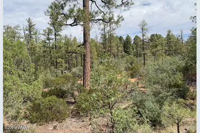 3352 Pine Needle Drive, Show Low, AZ 85901 - Photo 5
