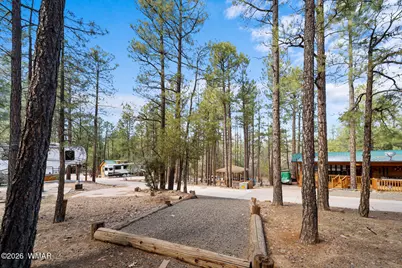 2221 E Turtle Creek Road, Show Low, AZ 85901 - Photo 21