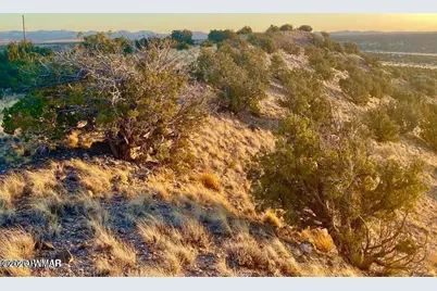 Tbd Co Rd 5060 1.38 Acres, Concho, AZ 85924 - Photo 5