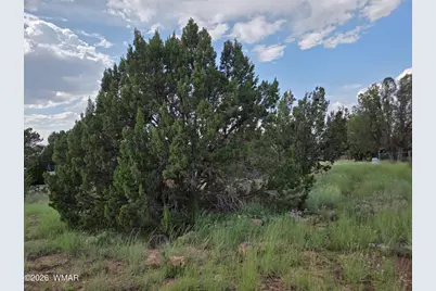 8442 Cochise Circle, Show Low, AZ 85901 - Photo 5