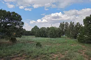 8442 Cochise Cir, Show Low, AZ 85901 - Photo 1