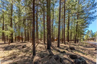 4583 Sky Hi Road, Pinetop, AZ 85935 - Photo 31