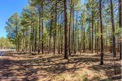 4583 Sky Hi Road, Pinetop, AZ 85935 - Photo 33