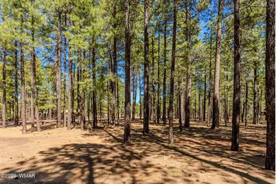 4583 Sky Hi Road, Pinetop, AZ 85935 - Photo 35